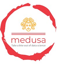 Medusa Ai gallery image