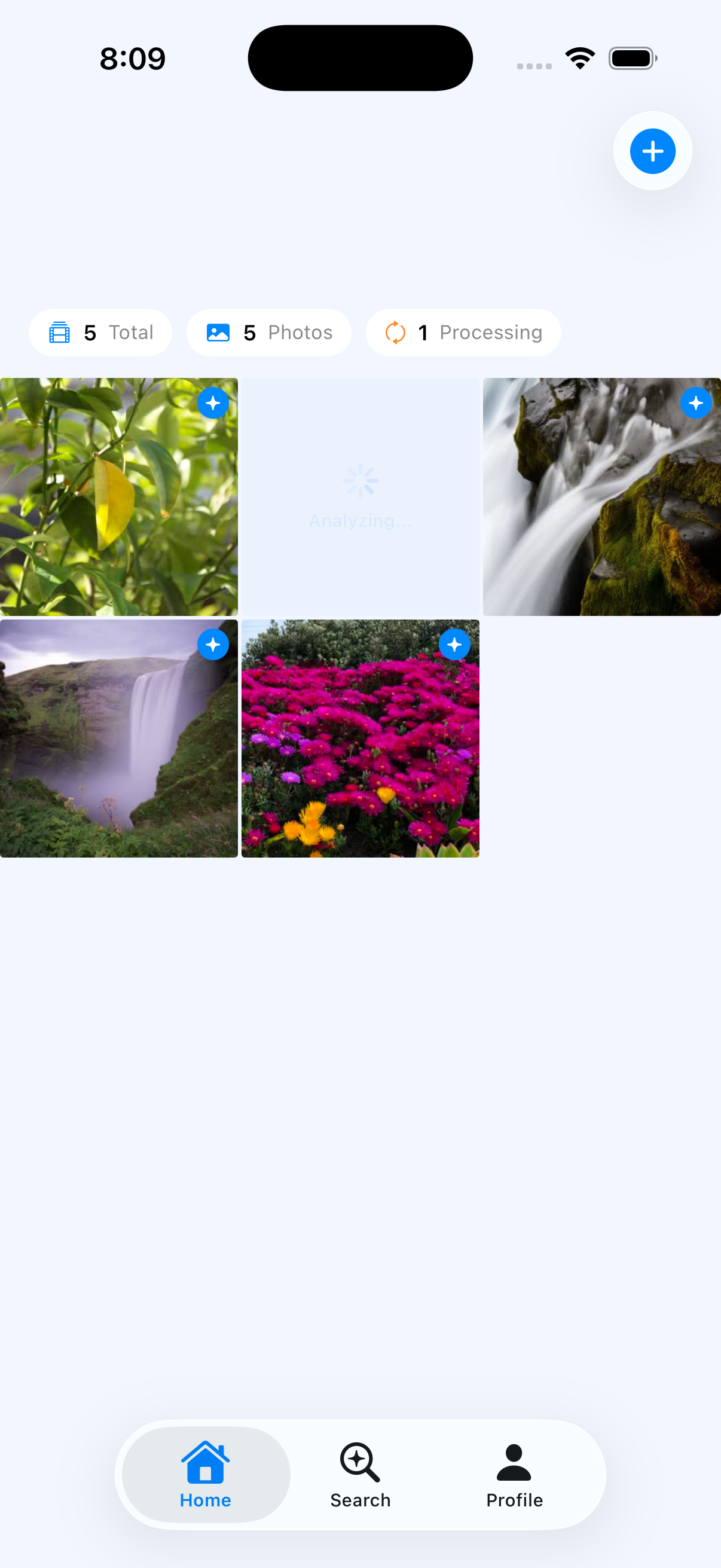 Framea gallery image