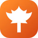 MPStorys
