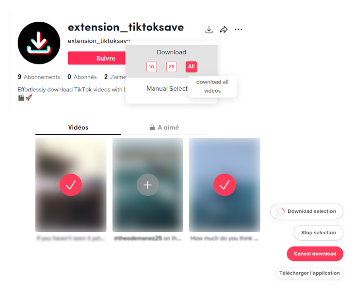 Tik Downloader gallery image