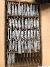 Wholesale Used iPhones for Sale in UAE gallery image