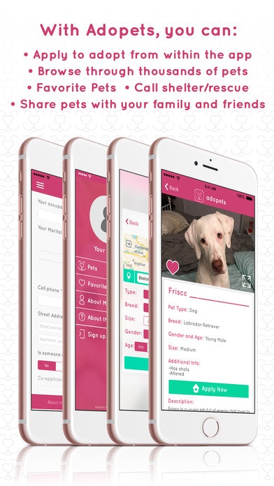 adopets gallery image