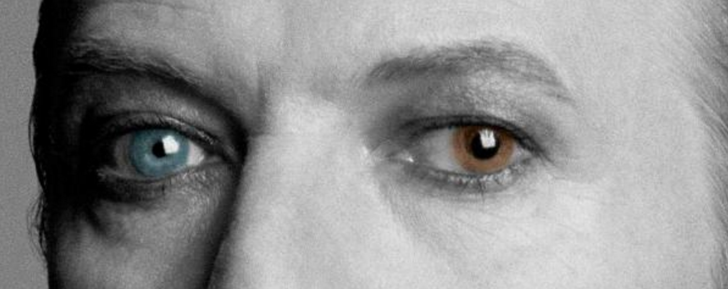 Bowie: The Biography gallery image