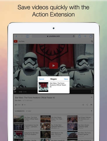 Magpie gallery image