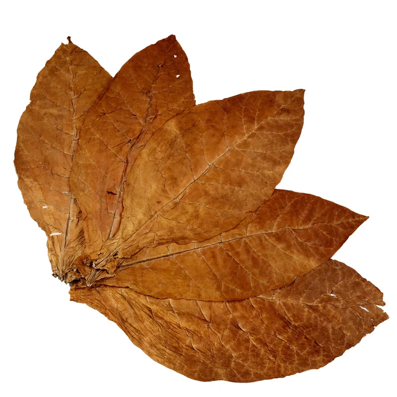 Buy Raw Burley Tobacco Leaves screenshot 1