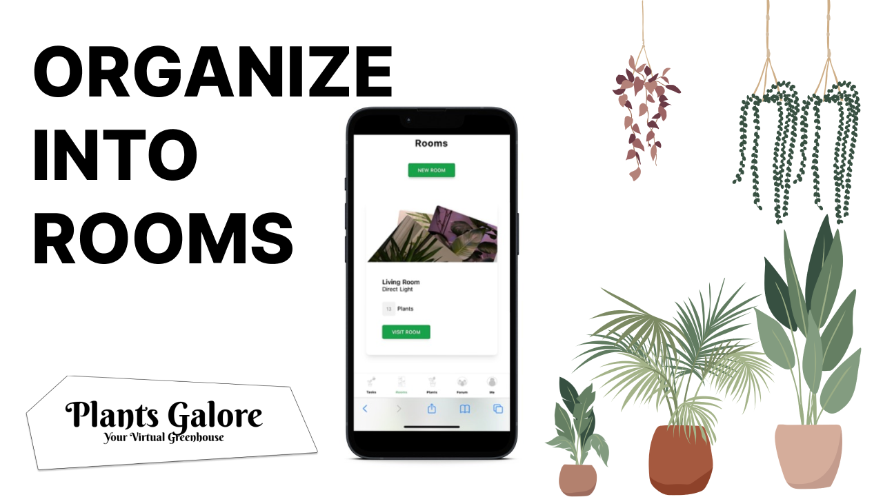 PlantsGalore gallery image