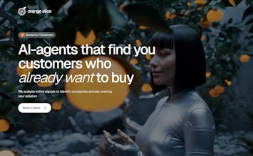 Orange Slice gallery image