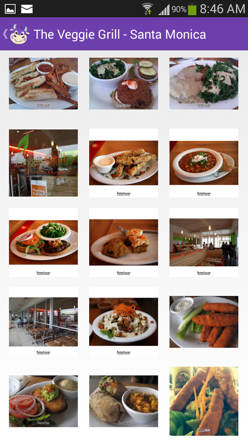 Happy Cow gallery image