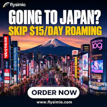Flysimio gallery image
