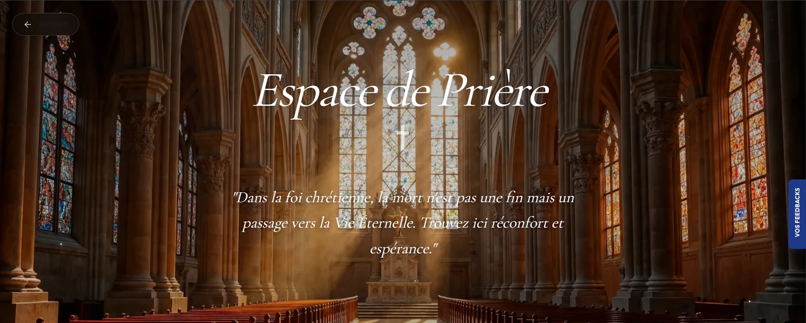 The Posterity Project screenshot 3