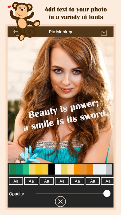 PhotoArt Editor (PicMonkey) with Filters, Sticker & Text gallery image