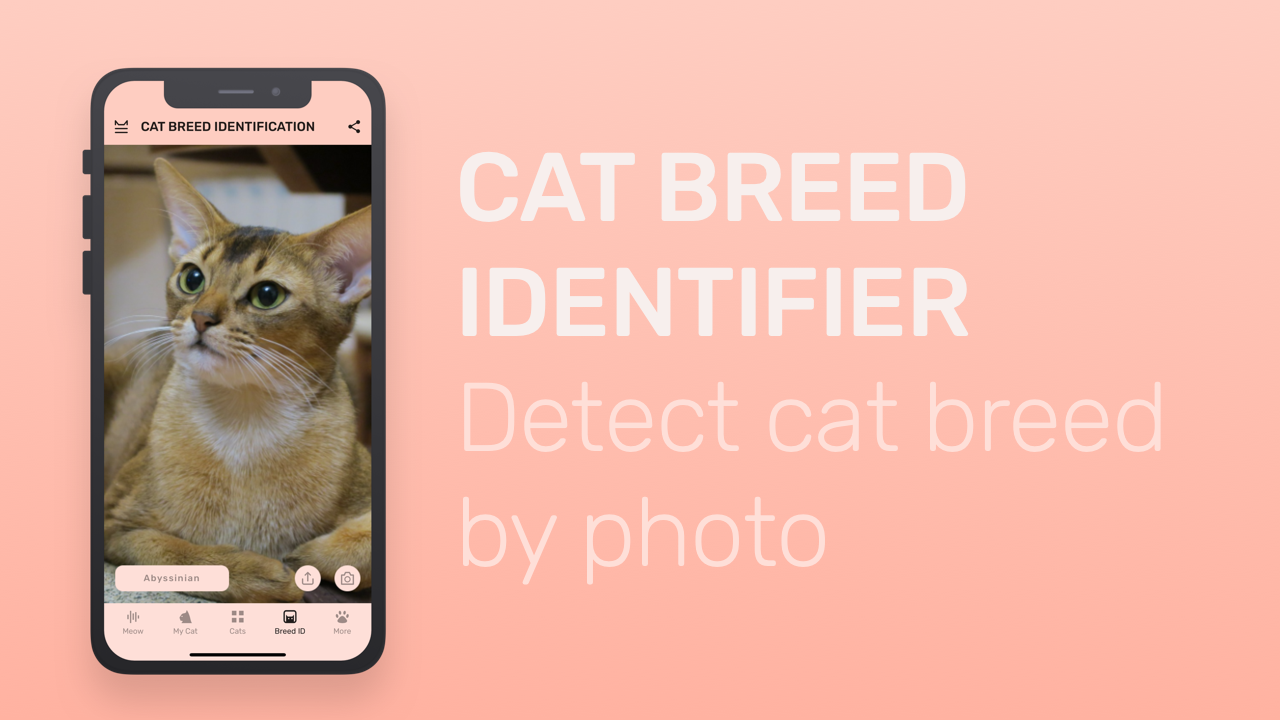 Meowly gallery image