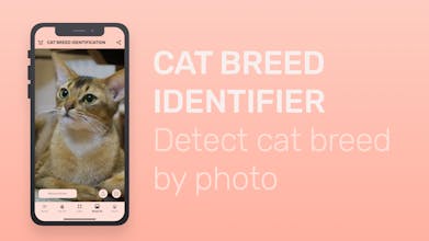 Meowly gallery image