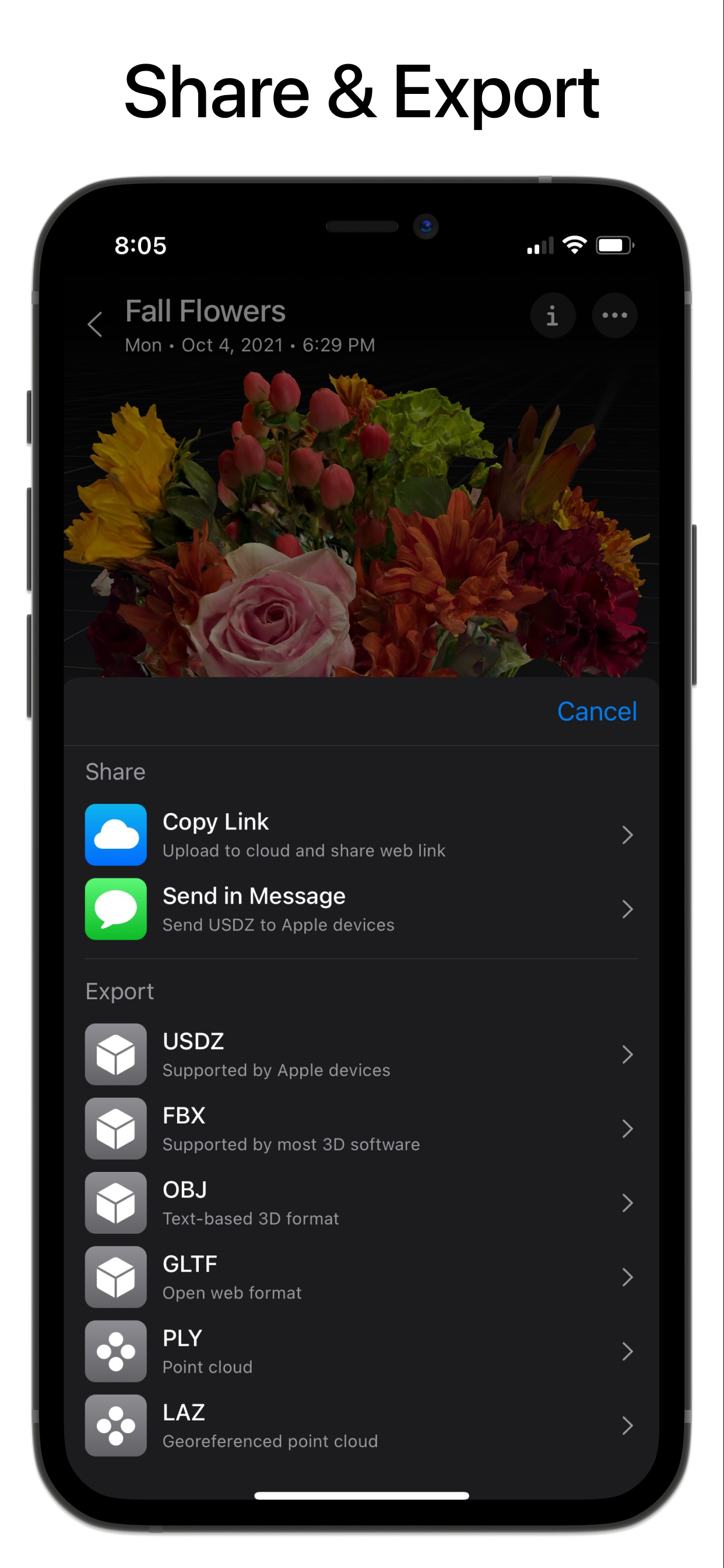 Metascan gallery image