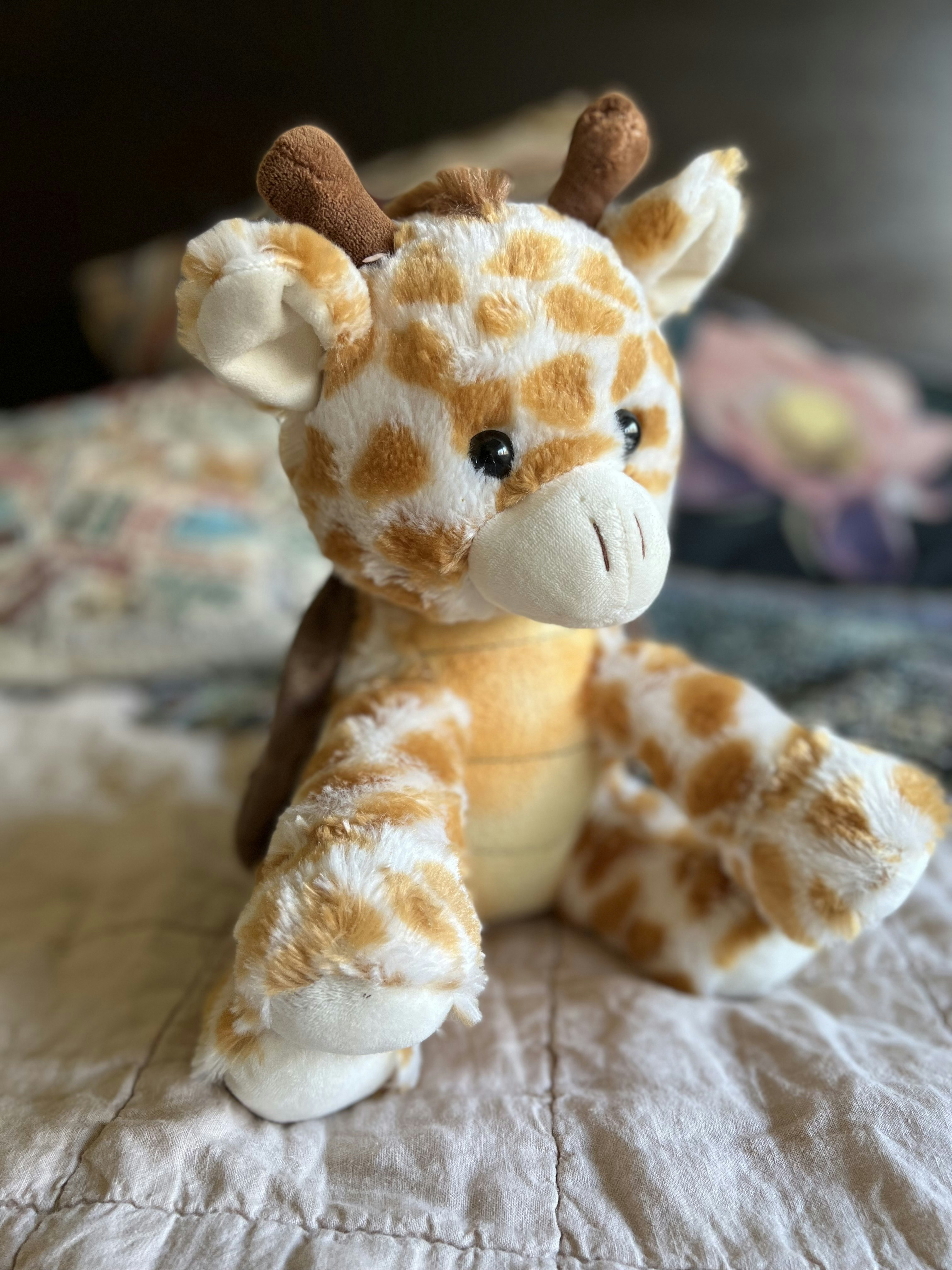 Girtle the Giraffe/Turtle mix gallery image