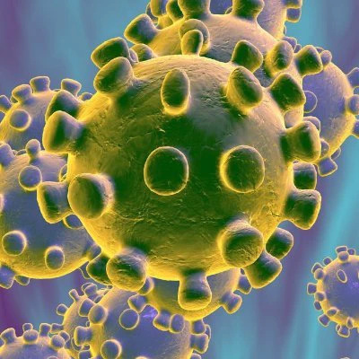 Coronavirus Data API