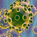 Coronavirus Data API