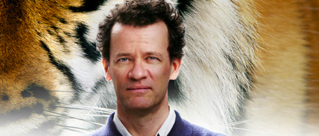 Life of Pi gallery image