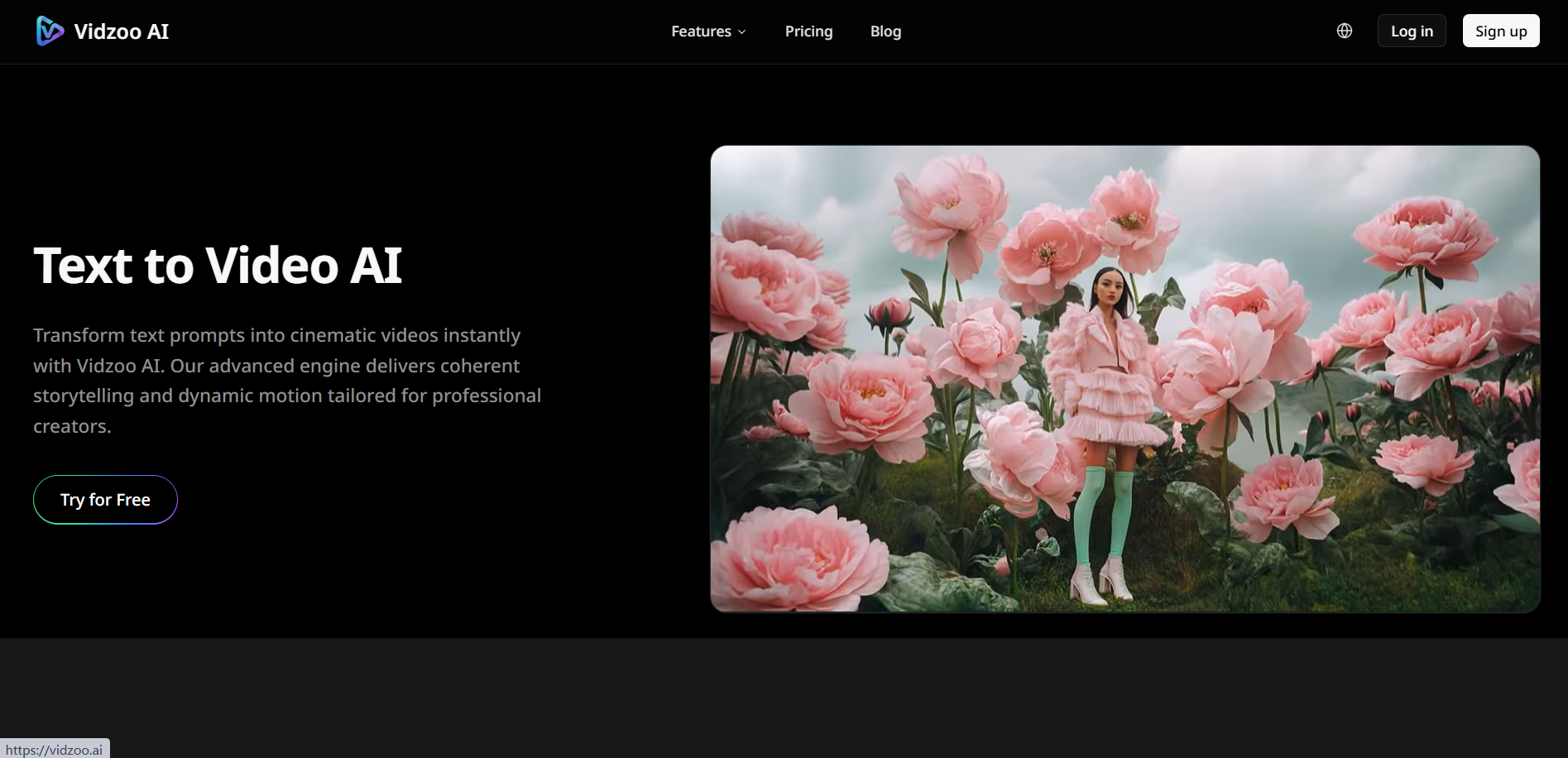 Vidzoo AI gallery image
