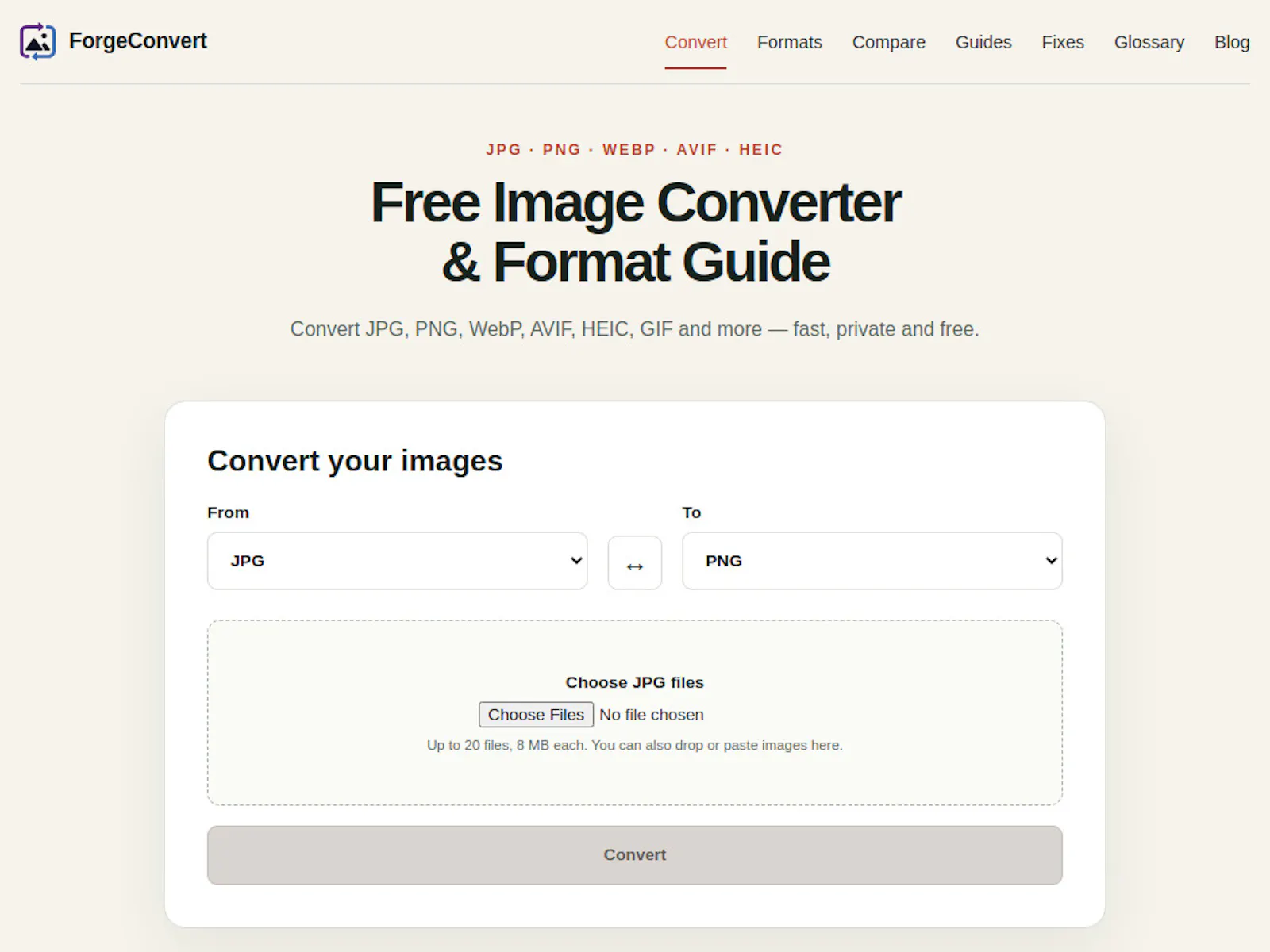ForgeConvert screenshot 13
