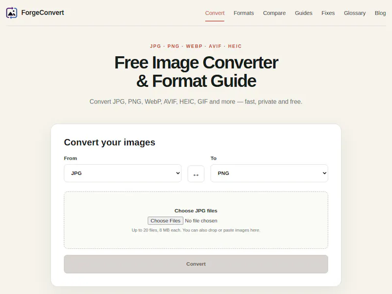 ForgeConvert screenshot 13