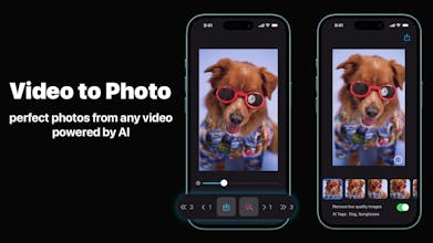 AI Frame Grabber gallery image