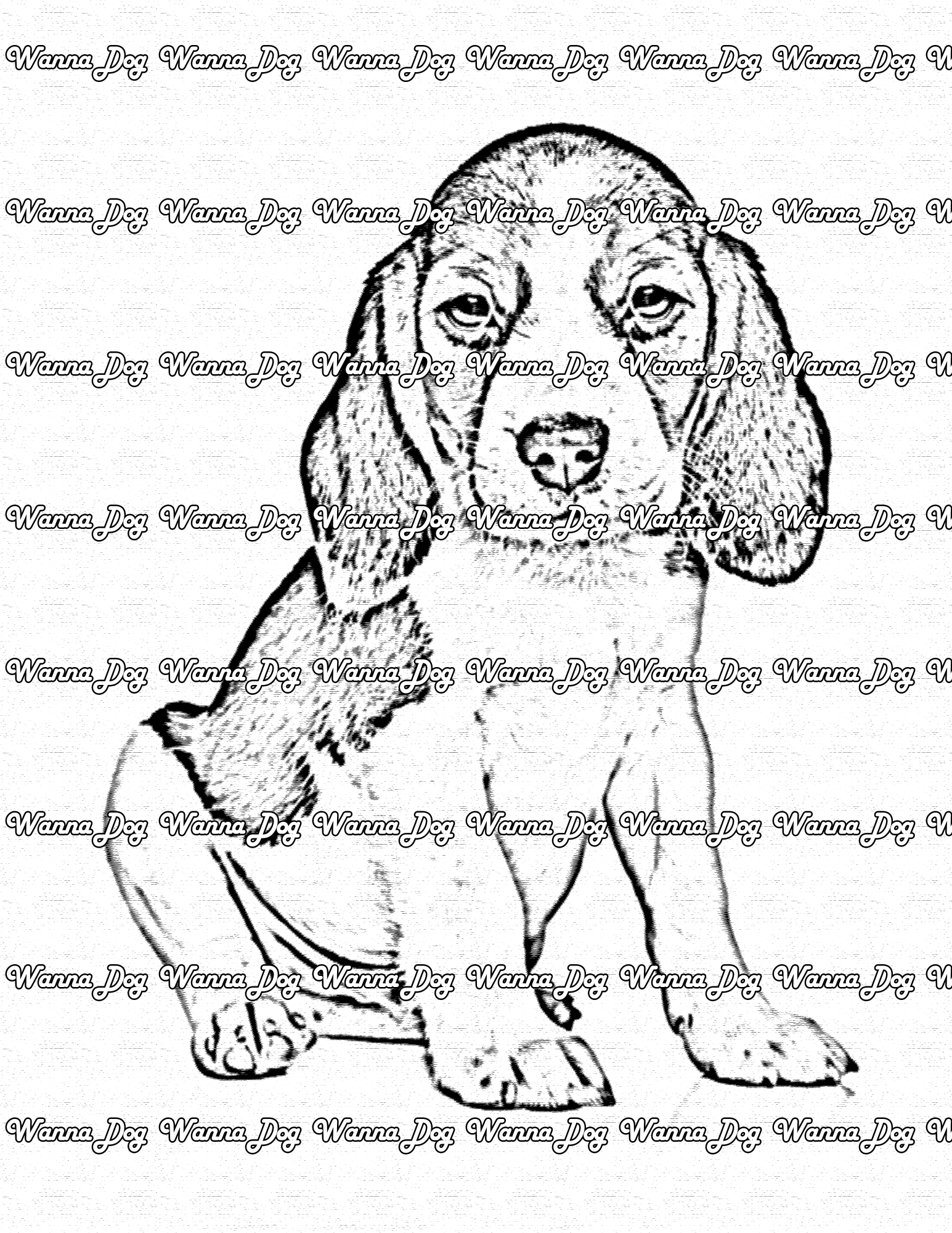 WannaDog.com - 狗著色頁的最佳來源 media 2
