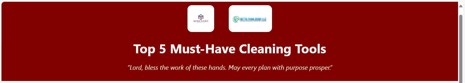 B.O.S.S.™ Top 5 Clea... logo