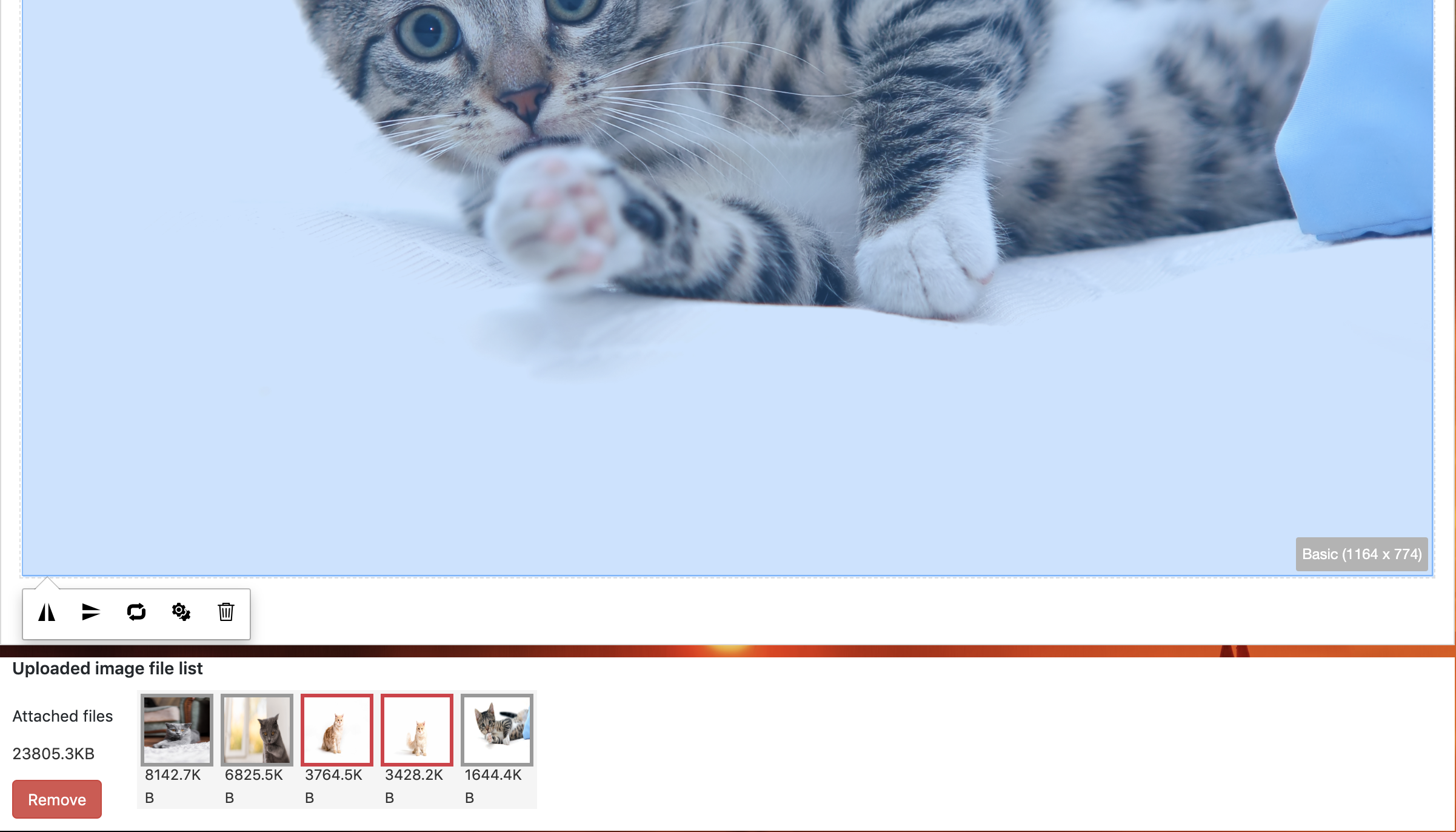 SunEditor gallery image