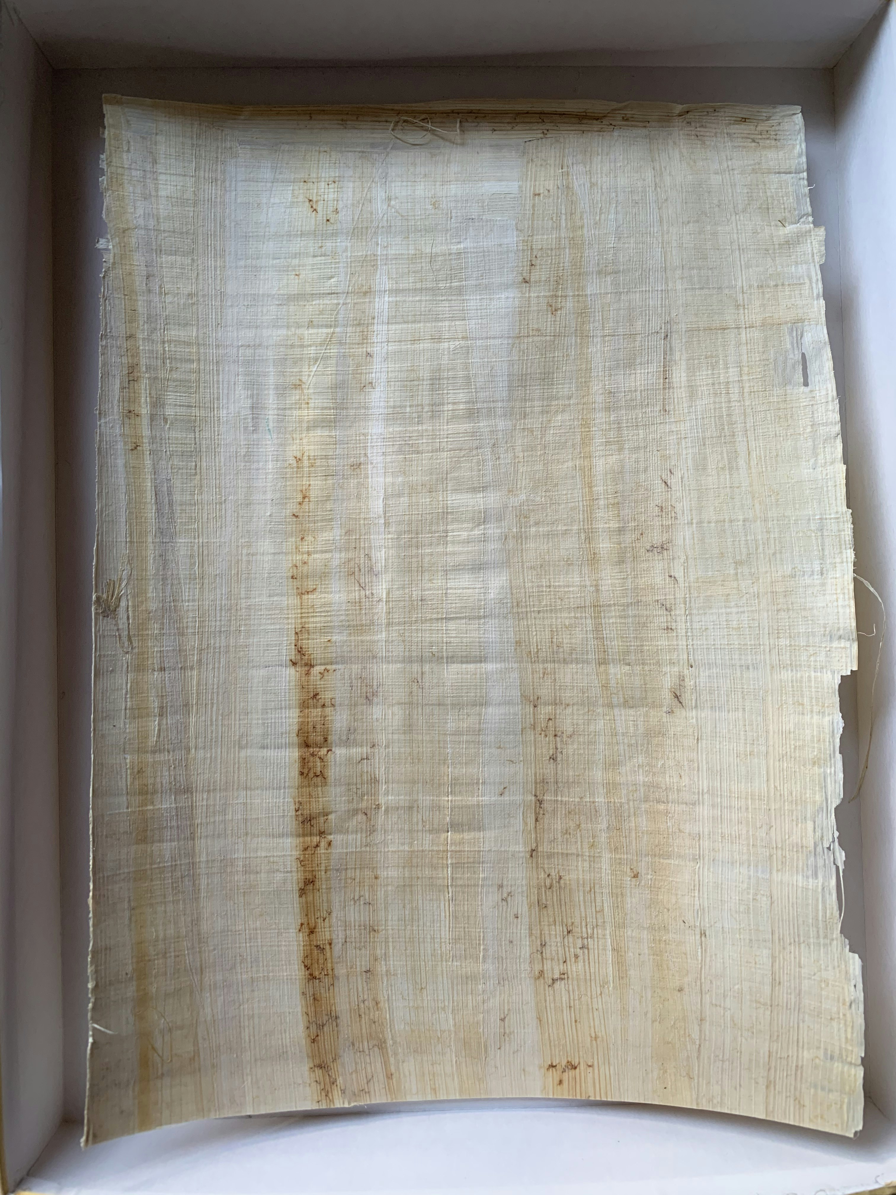 $100 Blank Sheet of Paper