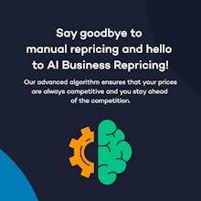 AI Amazon Business Repricer gallery image