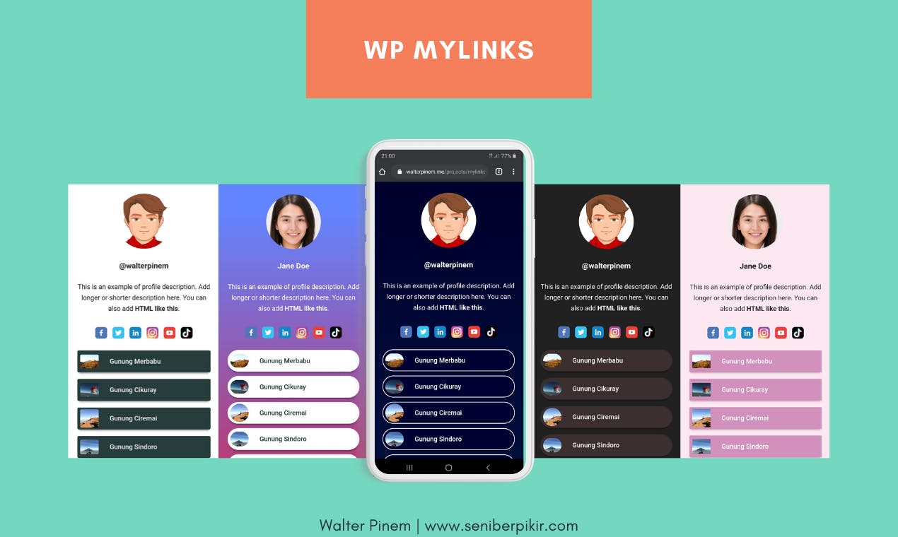 WP MyLinks media 2