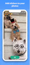 PetSelfie gallery image