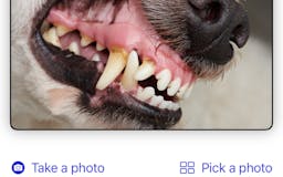 My Pet Dental Check media 2