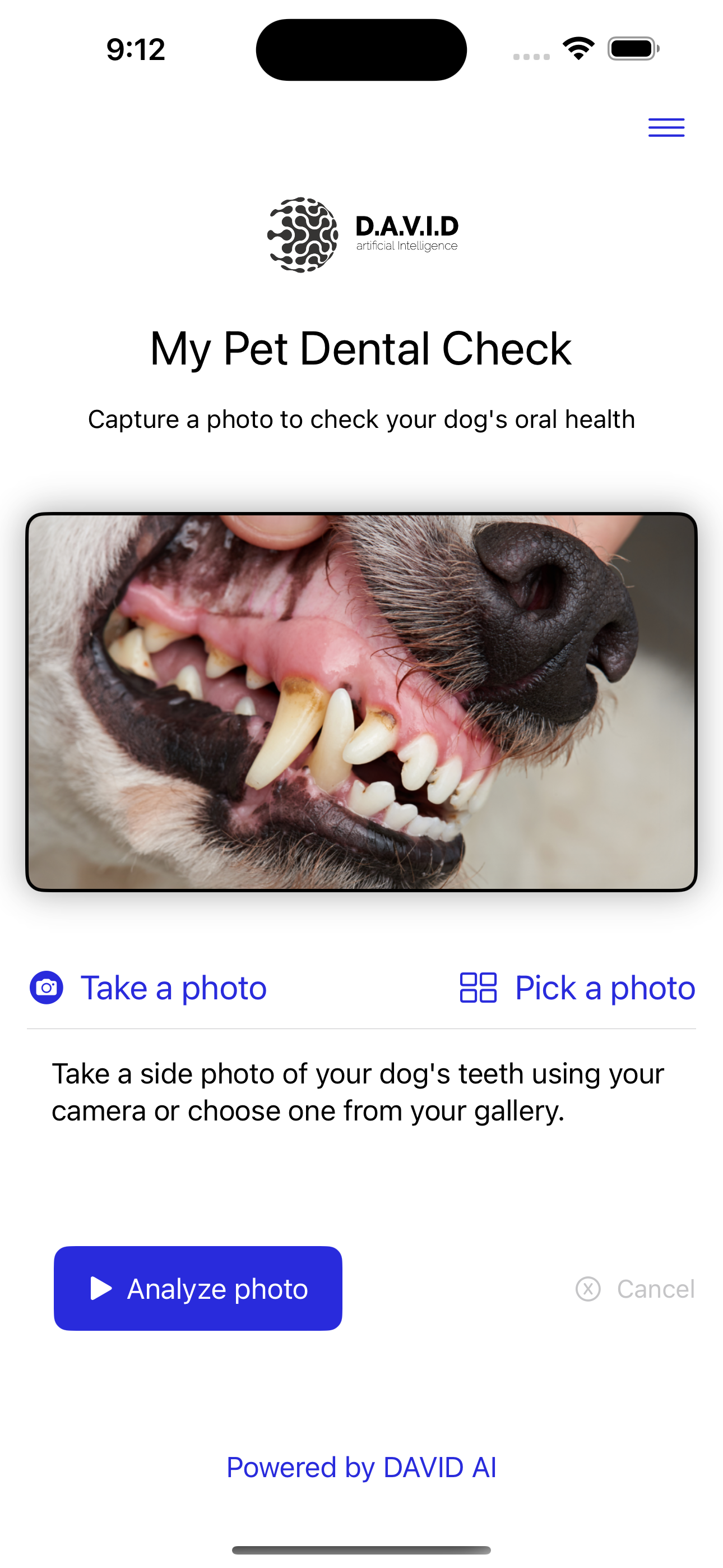 Il mio controllo dentale per animali domestici - Diagnosi dentale istantanea per animali domestici media 2