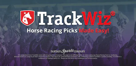 TrackWiz - Derby Ready ๐ gallery image