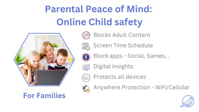 Cybird gallery image