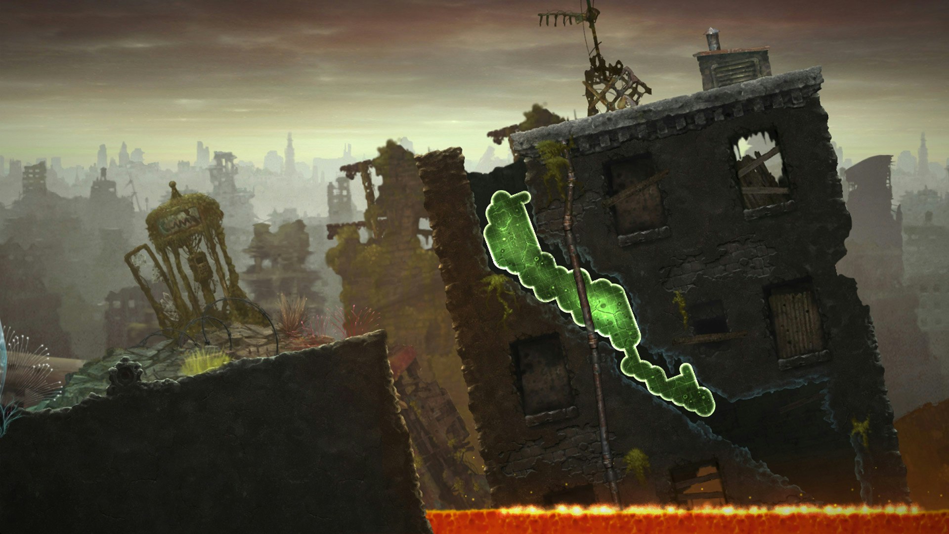 Mushroom 11 gallery image