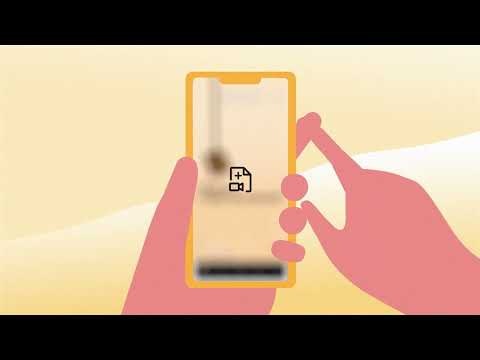 Curiosify gallery image