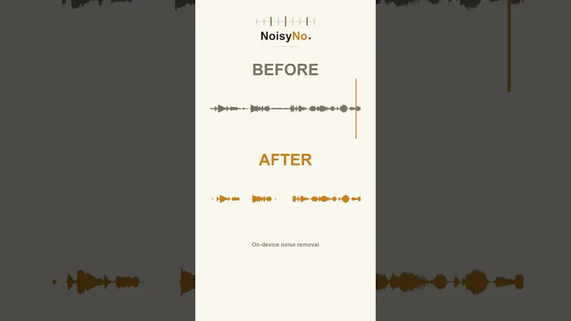 NoisyNo screenshot 1 (video preview)