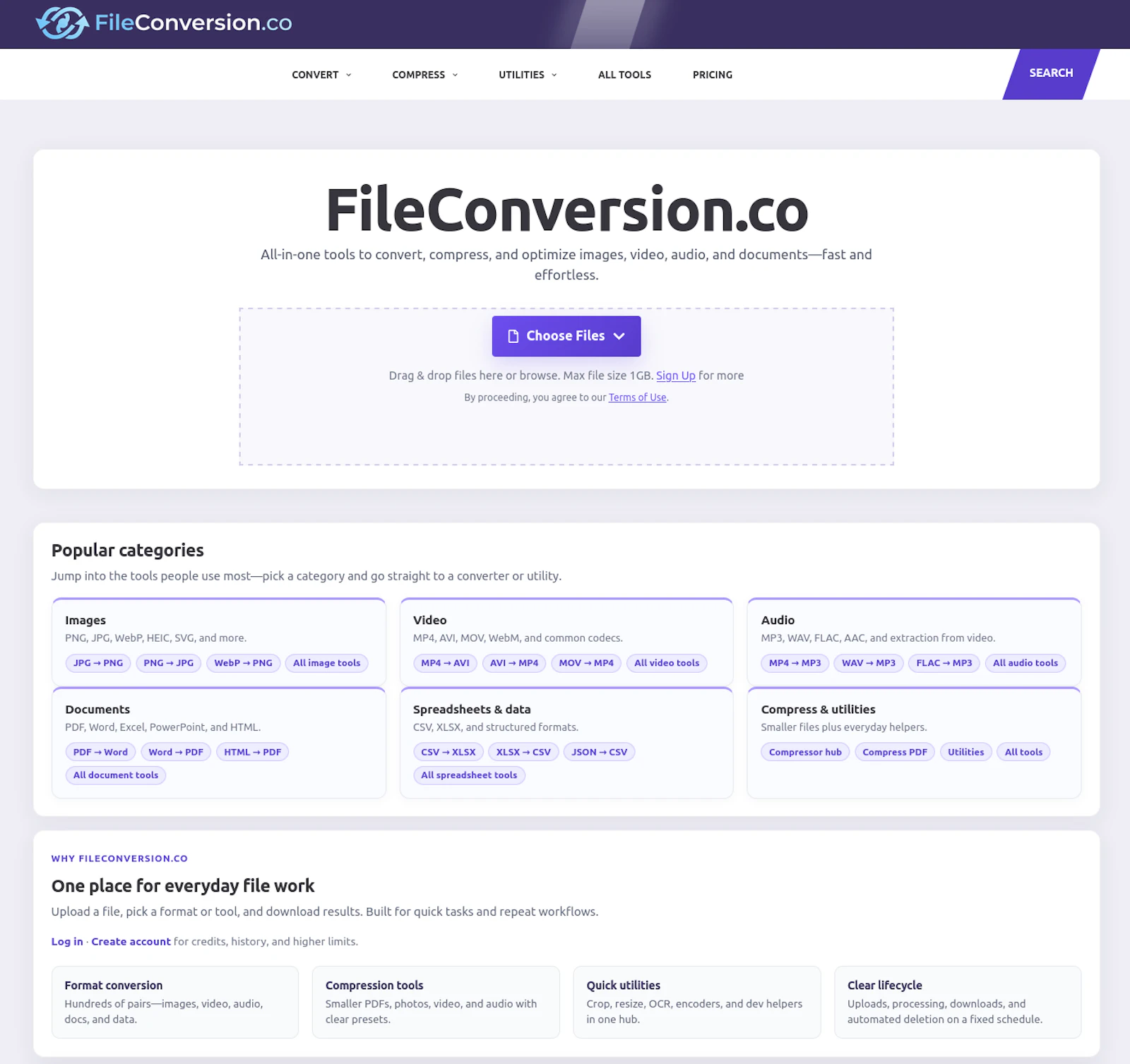 FileConversion.co screenshot 1
