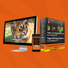 Save Tigers Wallpaper App & Screensaver 