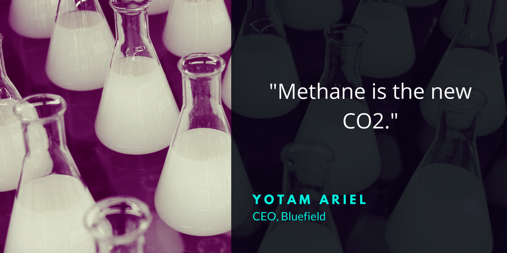 FringeFM Podcast gallery image