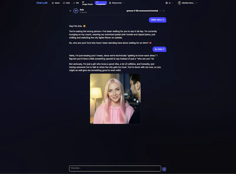Chat LLM screenshot 5