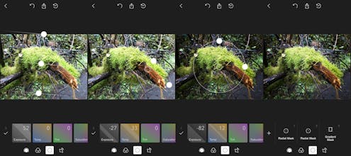 Polarr 2.0 for iOS gallery image