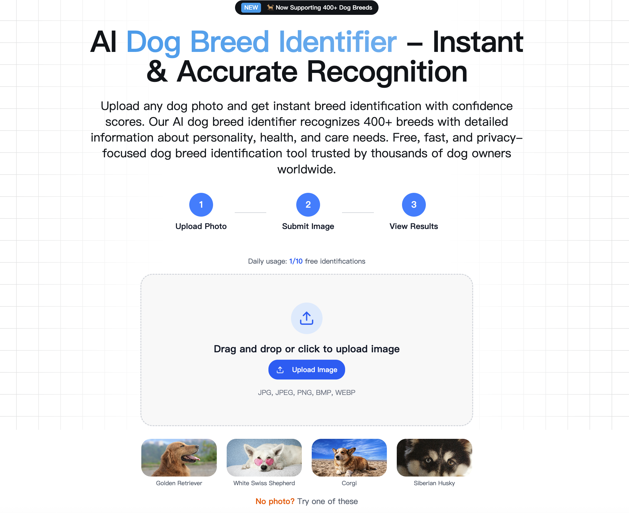 Identificatore di razza per cani media 1