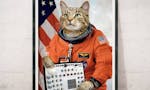 Cats On Synthesizers In Space image
