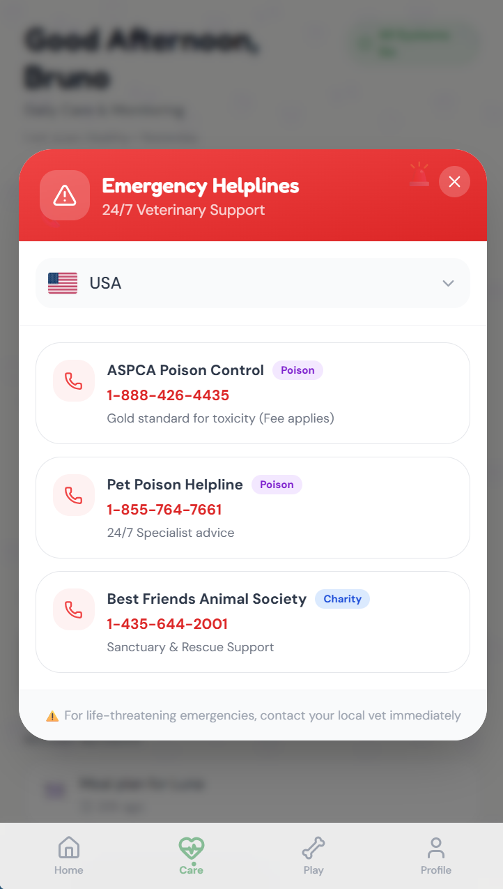 Pup & Pop - Screenshot 2 showing product features and functionality