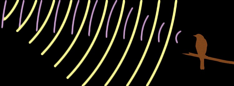 The Truth - Visible & Drive Straight Ahead gallery image