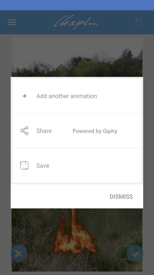 Chaplin gallery image